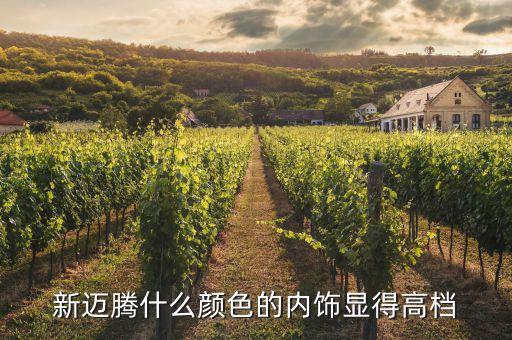 新迈腾什么颜色的内饰显得高档
