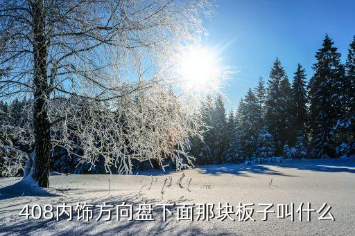小汽车的内饰板叫什么，请问一下小车车门内则用来装饰的那块板叫什么名字