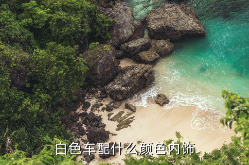 白色车配什么颜色内饰