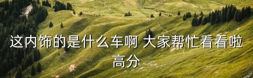 汽车红内饰是什么车，这个内饰的是什么车