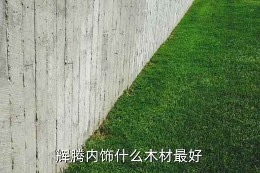 汽车的内饰用什么木头好，哪些车子内饰用桃花蕊木