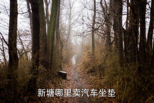 新塘哪里卖汽车坐垫
