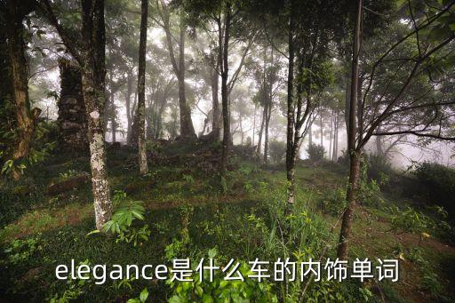 elegance是什么车的内饰单词