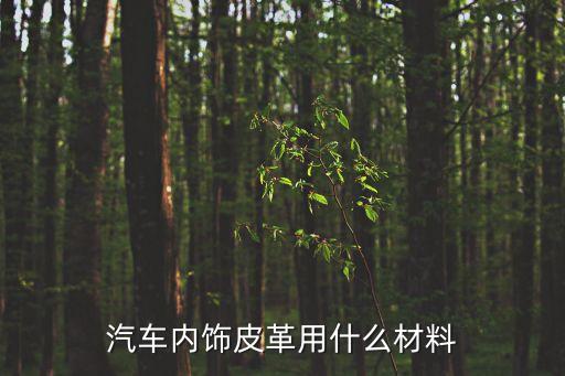 汽车内饰皮革用什么材料