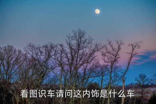 看图识车请问这内饰是什么车