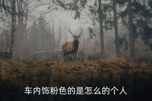 车内饰粉色的是怎么的个人