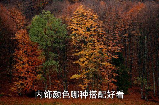内饰颜色哪种搭配好看