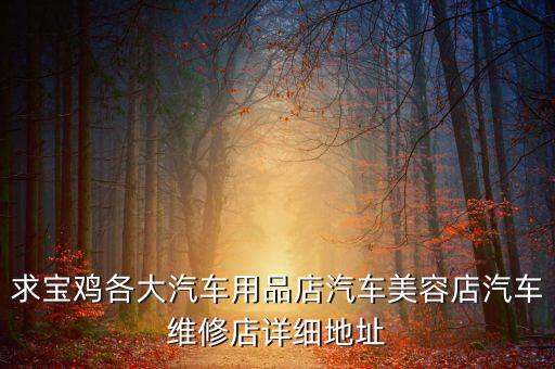 求宝鸡各大汽车用品店汽车美容店汽车维修店详细地址