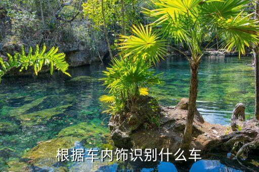 辨别汽车的内饰软件叫什么，能根据车内饰判断是什么车么