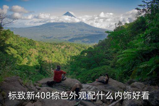 标致新408棕色外观配什么内饰好看