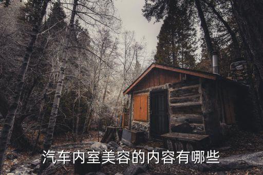 汽车美容内饰喷的都什么，汽车美容装具都包括什么