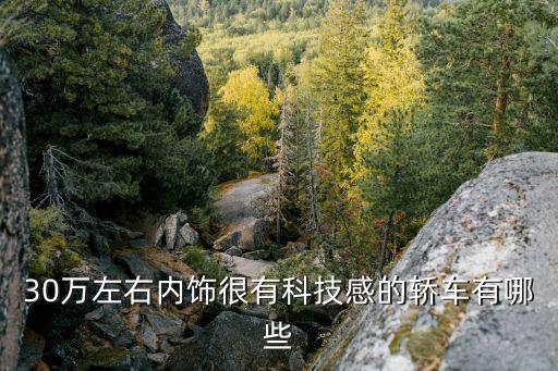 30万左右内饰很有科技感的轿车有哪些