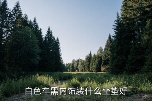 白色车黑内饰装什么坐垫好