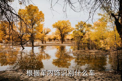 根据车内饰识别什么车