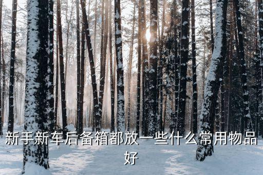 新手新车后备箱都放一些什么常用物品好