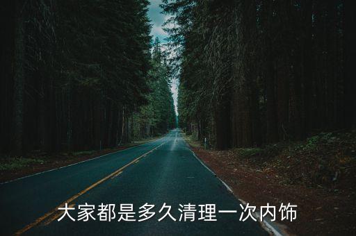 大家都是多久清理一次内饰