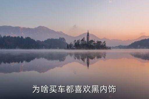 为啥买车都喜欢黑内饰