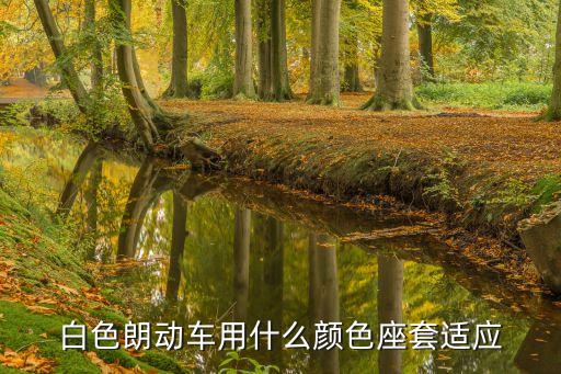 白色朗动车用什么颜色座套适应