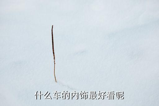 什么车的内饰最好看呢