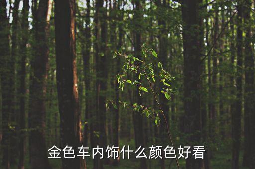 金色车内饰什么颜色好看