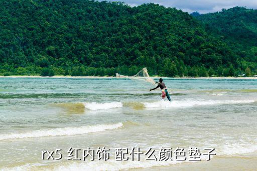 rx5 红内饰 配什么颜色垫子