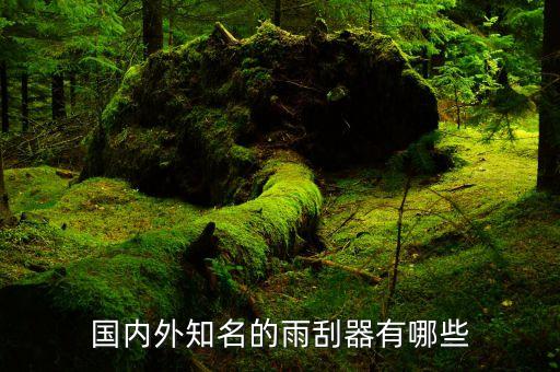 汽车雨刷内饰厂家有哪些，汽车雨刷有哪些知名品牌