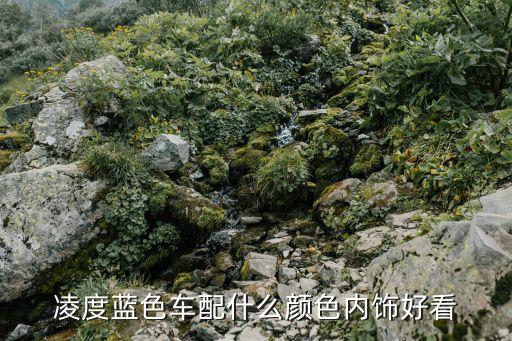凌度蓝色车配什么颜色内饰好看