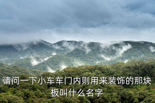 请问一下小车车门内则用来装饰的那块板叫什么名字
