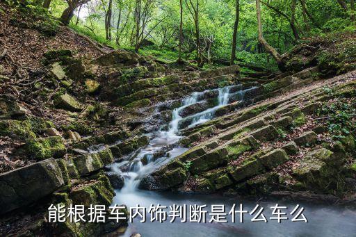 能根据车内饰判断是什么车么