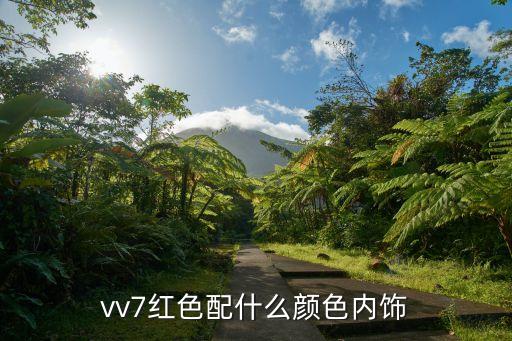 vv7红色配什么颜色内饰