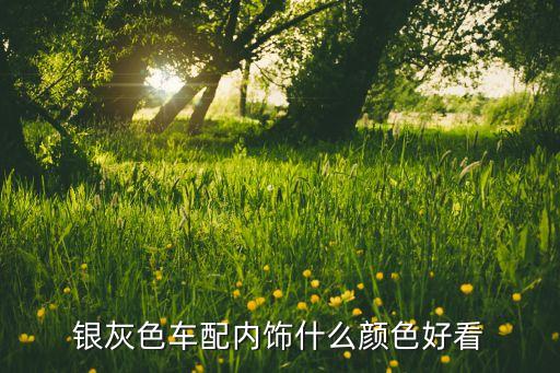 银灰色汽车改什么颜色内饰，银灰色车配内饰什么颜色好看