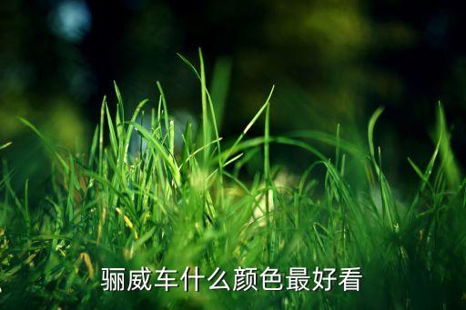 骊威车什么颜色最好看