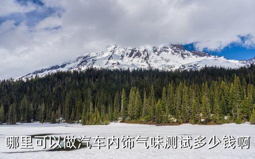 哪里可以做汽车内饰气味测试多少钱啊