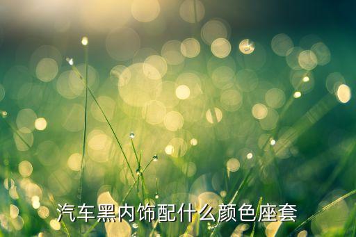 汽车黑色内饰搭配什么安全带，汽车黑内饰配什么颜色座套