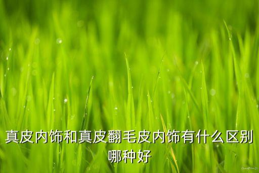 真皮内饰和真皮翻毛皮内饰有什么区别哪种好