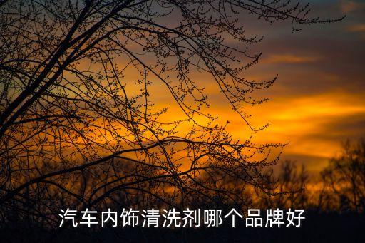 汽车洗内饰 清洗剂哪个好，汽车内饰清洗剂哪个品牌好