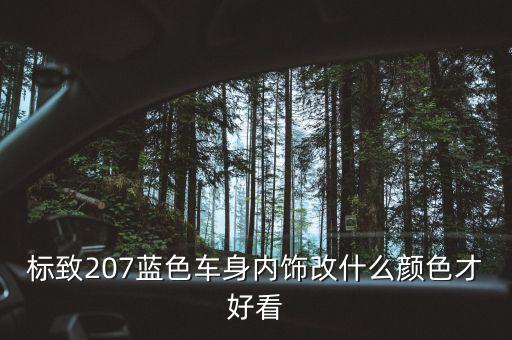 标致207蓝色车身内饰改什么颜色才好看