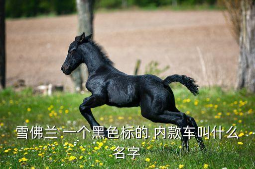 雪佛兰 一个黑色标的 内款车叫什么名字