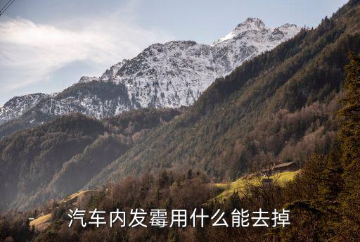 汽车内发霉用什么能去掉