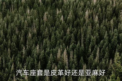 汽车座套是皮革好还是亚麻好