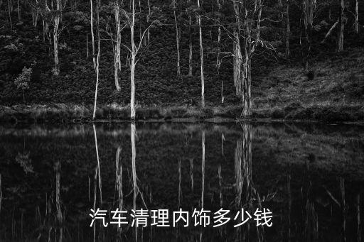 汽车清理内饰多少钱