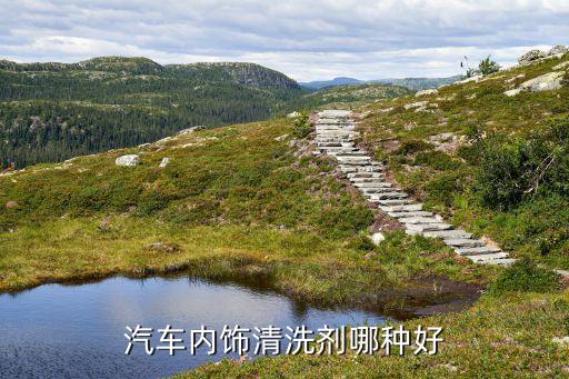 汽车美容店内饰用什么药剂，汽车内饰清洗剂哪种好