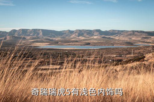 汽车都没浅色内饰吗为什么，轩逸只有浅色内饰么有没有其他颜色可以选