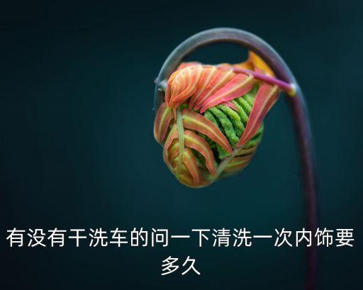 有没有干洗车的问一下清洗一次内饰要多久