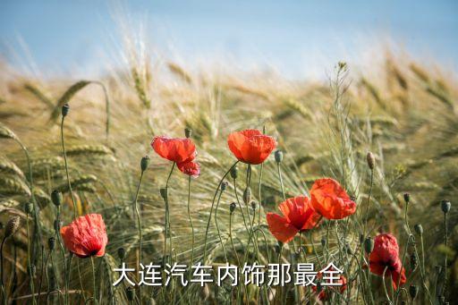 大连汽车内饰那最全