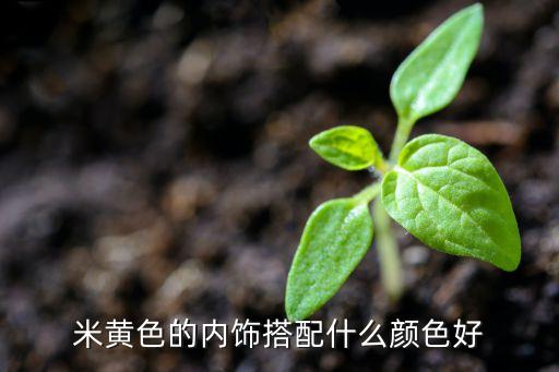 米黄色的内饰搭配什么颜色好