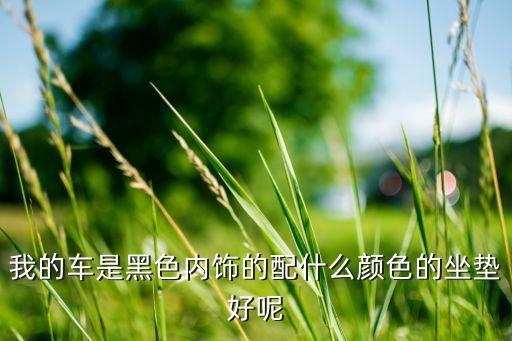 我的车是黑色内饰的配什么颜色的坐垫好呢
