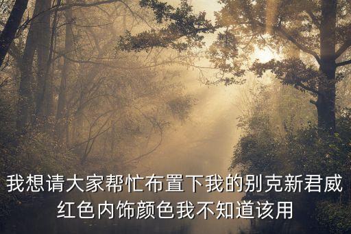 我想请大家帮忙布置下我的别克新君威红色内饰颜色我不知道该用