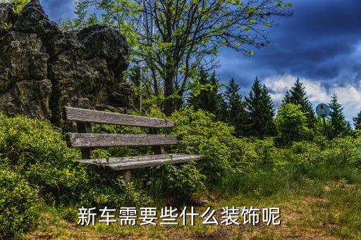 新车需要些什么装饰呢