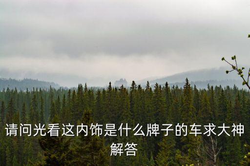 请问光看这内饰是什么牌子的车求大神解答